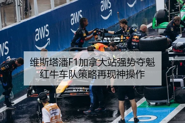 维斯塔潘F1加拿大站强势夺魁 红牛车队策略再现神操作